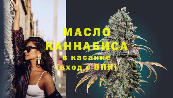сатива Новочеркасск