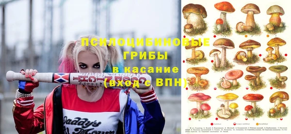 первитин Козловка