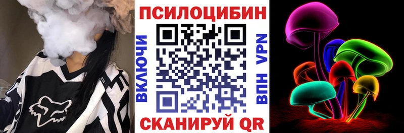 Псилоцибиновые грибы Cubensis  Купить где  Кашин 